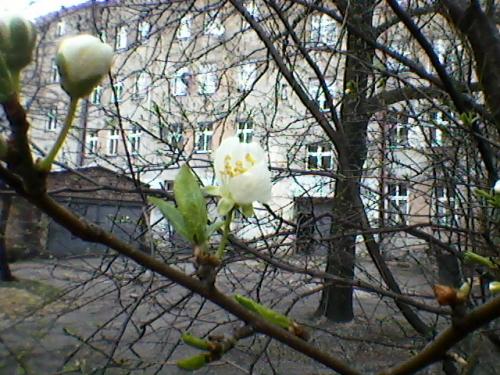Blog Kasia