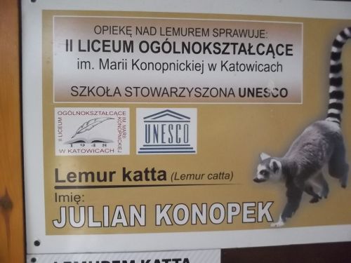 Blog Kasia